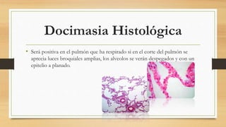 Docimasia Histológica
• Será positiva en el pulmón que ha respirado si en el corte del pulmón se
aprecia luces broquiales amplias, los alveolos se verán despegados y con un
epitelio a planado.
 