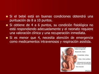  Si el bebé está en buenas condiciones obtendrá una
puntuación de 8 a 10 puntos.
 Si obtiene de 4 a 6 puntos, su condición fisiológica no
está respondiendo adecuadamente y el neonato requiere
una valoración clínica y una recuperación inmediata.
 Si es menor que 4, necesita atención de emergencia
como medicamentos intravenosos y respiración asistida.
 