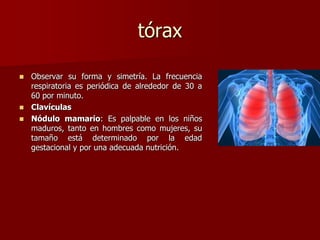 tórax
 Observar su forma y simetría. La frecuencia
respiratoria es periódica de alrededor de 30 a
60 por minuto.
 Clavículas
 Nódulo mamario: Es palpable en los niños
maduros, tanto en hombres como mujeres, su
tamaño está determinado por la edad
gestacional y por una adecuada nutrición.
 