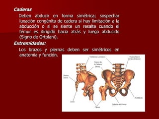 Caderas
Deben abducir en forma simétrica; sospechar
luxación congénita de cadera si hay limitación a la
abducción o si se siente un resalte cuando el
fémur es dirigido hacia atrás y luego abducido
(Signo de Ortolani).
Extremidades:
Los brazos y piernas deben ser simétricos en
anatomía y función.
 