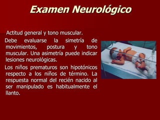 Examen Neurológico
Actitud general y tono muscular.
Debe evaluarse la simetría de
movimientos, postura y tono
muscular. Una asimetría puede indicar
lesiones neurológicas.
Los niños prematuros son hipotónicos
respecto a los niños de término. La
respuesta normal del recién nacido al
ser manipulado es habitualmente el
llanto.
 
