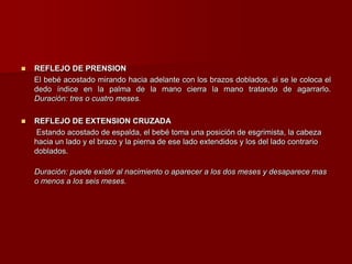  REFLEJO DE PRENSION
El bebé acostado mirando hacia adelante con los brazos doblados, si se le coloca el
dedo índice en la palma de la mano cierra la mano tratando de agarrarlo.
Duración: tres o cuatro meses.
 REFLEJO DE EXTENSION CRUZADA
Estando acostado de espalda, el bebé toma una posición de esgrimista, la cabeza
hacia un lado y el brazo y la pierna de ese lado extendidos y los del lado contrario
doblados.
Duración: puede existir al nacimiento o aparecer a los dos meses y desaparece mas
o menos a los seis meses.
 