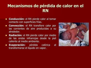 Mecanismos de pérdida de calor en el
RN
 Conducción: el RN pierde calor al tomar
contacto con superficies frías.
 Convección: el RN transfiere calor por
las corrientes de aire producidas a su
alrededor.
 Radiación: el RN pierde calor por medio
de las ondas infrarrojas desde la piel
caliente al medio ambiente.
 Evaporación: pérdida calórica al
transformarse el líquido en vapor.
 