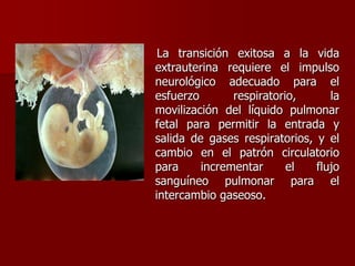 La transición exitosa a la vida
extrauterina requiere el impulso
neurológico adecuado para el
esfuerzo respiratorio, la
movilización del líquido pulmonar
fetal para permitir la entrada y
salida de gases respiratorios, y el
cambio en el patrón circulatorio
para incrementar el flujo
sanguíneo pulmonar para el
intercambio gaseoso.
 