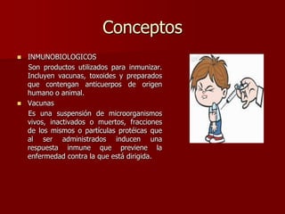 Conceptos
 INMUNOBIOLOGICOS
Son productos utilizados para inmunizar.
Incluyen vacunas, toxoides y preparados
que contengan anticuerpos de origen
humano o animal.
 Vacunas
Es una suspensión de microorganismos
vivos, inactivados o muertos, fracciones
de los mismos o partículas protéicas que
al ser administrados inducen una
respuesta inmune que previene la
enfermedad contra la que está dirigida.
 