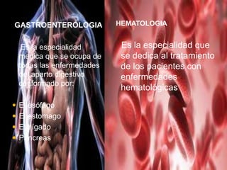 GASTROENTEROLOGIA
Es la especialidad
medica que se ocupa de
todas las enfermedades
del aparto digestivo
conformado por:
 El esófago
 El estomago
 El hígado
 Páncreas
HEMATOLOGIA
Es la especialidad que
se dedica al tratamiento
de los pacientes con
enfermedades
hematológicas
 
