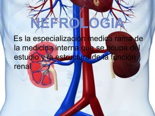 NEFROLOGIA
Es la especialización medica rama de
la medicina interna que se ocupa del
estudio y la estructura de la función
renal
 