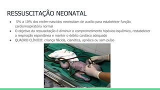 RESSUSCITAÇÃO NEONATAL
● 5% a 10% dos recém-nascidos necessitam de auxílio para estabelecer função
cardiorrespiratória normal
● O objetivo da ressuscitação é diminuir o comprometimento hipóxico-isquêmico, restabelecer
a respiração espontânea e manter o débito cardíaco adequado
● QUADRO CLÍNICO: criança flácida, cianótica, apnéica ou sem pulso
 