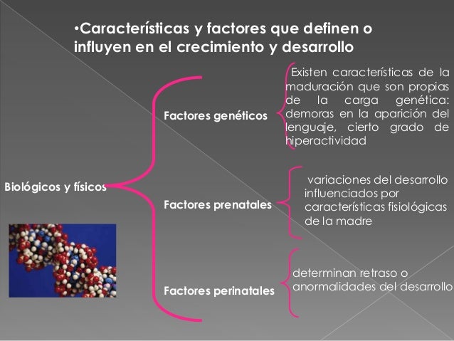 Descripcion de las etapas del crecimiento y desarrollo del niño y ado…