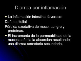 Diarrea por inflamación La inflamación intestinal favorece: Daño epitelial Pérdida exudativa de moco, sangre y proteínas. El incremento de la permeabilidad de la mucosa afecta la absorción resultando una diarrea secretoria secundaria. 
