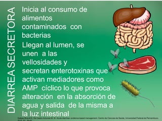 DIARREA
SECRETORA
Galeao Brandt K, De Castro Antunes M. M. Acute diarrhea: evidence-based management. Centro de Ciencias da Saúde, Universidad Federal de Pernambuco.
Inicia al consumo de
alimentos
contaminados con
bacterias
Llegan al lumen, se
unen a las
vellosidades y
secretan enterotoxinas que
activan mediadores como
AMP cíclico lo que provoca
alteración en la absorción de
agua y salida de la misma a
la luz intestinal
 