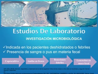 INVESTIGACIÓN MICROBIOLÓGICA
Indicada en los pacientes deshidratados o febriles
 Presencia de sangre o pus en materia fecal
Coprocultivo Amiba en fresco
Reacciones
febriles
Leucocitos en
moco fecal
GPC SSA-156-08: Atención, diagnóstico y tratamiento de la diarrea aguda en niños de dos meses a cinco años en el primero y segundo nivel de
atención. Disponible
en:
 