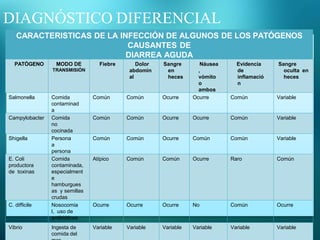 DIAGNÓSTICO DIFERENCIAL
CARACTERISTICAS DE LA INFECCIÓN DE ALGUNOS DE LOS PATÓGENOS
CAUSANTES DE
DIARREA AGUDA
PATÓGENO MODO DE
TRANSMISIÓN
Fiebre Dolor
abdomin
al
Sangre
en
heces
Náusea
,
vómito
o
ambos
Evidencia
de
inflamació
n
Sangre
oculta en
heces
Salmonella Comida
contaminad
a
Común Común Ocurre Ocurre Común Variable
Campylobacter Comida
no
cocinada
Común Común Ocurre Ocurre Común Variable
Shigella Persona
a
persona
Común Común Ocurre Común Común Variable
E. Coli
productora
de toxinas
Comida
contaminada,
especialment
e
hamburgues
as y semillas
crudas
Atípico Común Común Ocurre Raro Común
C. difficile Nosocomia
l, uso de
antibióticos
Ocurre Ocurre Ocurre No Común Ocurre
Vibrio Ingesta de
comida del
Variable Variable Variable Variable Variable Variable
 