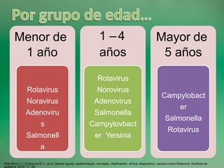 Menor de
1 año
Rotavirus
Noravirus
Adenoviru
s
Salmonell
a
1 –4
años
Rotavirus
Norovirus
Adenovirus
Salmonella
Campylovbact
er Yersinia
Mayor de
5 años
Campylobact
er
Salmonella
Rotavirus
Díaz Mora J.J, Echezuria M. L; at al. Diarrea aguda: epidemiología, concepto, clasificación, clínica, diagnóstico, vacuna contra Rotavirus. Archivos de
pediatría. 2016; 77: 29.
 