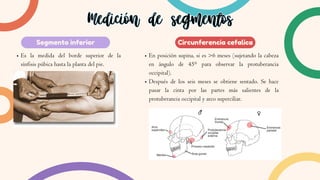 Segmento inferior
Medición de segmentos
Medición de segmentos
Es la medida del borde superior de la
sínfisis púbica hasta la planta del pie.
Circunferencia cefalica
En posición supina, si es >6 meses (sujetando la cabeza
en ángulo de 45° para observar la protuberancia
occipital).
Después de los seis meses se obtiene sentado. Se hace
pasar la cinta por las partes más salientes de la
protuberancia occipital y arco superciliar.
 