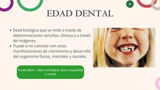 EDAD DENTAL
Puede diferir: edad cronológica, ósea o esqueletal
y mental
Edad biológica que se mide a través de
determinaciones sencillas, clínicas y a través
de imágenes.
Puede o no coincidir con otras
manifestaciones de crecimiento y desarrollo
del organismo físicos, mentales y sociales.
 
