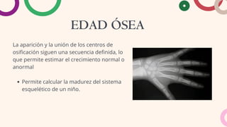 EDAD ÓSEA
La aparición y la unión de los centros de
osificación siguen una secuencia definida, lo
que permite estimar el crecimiento normal o
anormal
Permite calcular la madurez del sistema
esquelético de un niño.
 