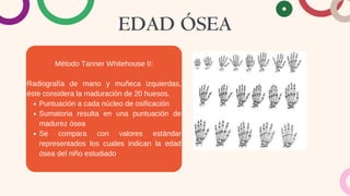 EDAD ÓSEA
Método Tanner Whitehouse II:
Radiografía de mano y muñeca izquierdas,
éste considera la maduración de 20 huesos.
Puntuación a cada núcleo de osificación
Sumatoria resulta en una puntuación de
madurez ósea
Se compara con valores estándar
representados los cuales indican la edad
ósea del niño estudiado
 