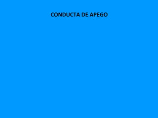 CONDUCTA DE APEGO
 