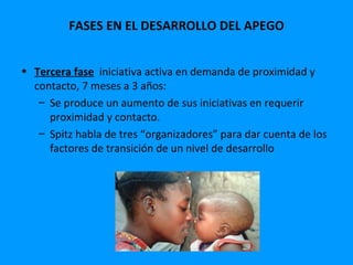 FASES EN EL DESARROLLO DEL APEGO


• Tercera fase iniciativa activa en demanda de proximidad y
  contacto, 7 meses a 3 años:
   – Se produce un aumento de sus iniciativas en requerir
     proximidad y contacto.
   – Spitz habla de tres “organizadores” para dar cuenta de los
     factores de transición de un nivel de desarrollo
 
