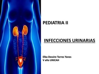 INFECCIONES URINARIAS 
 