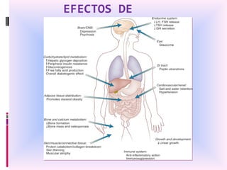 EFECTOS DE GLUCORTICOIDES