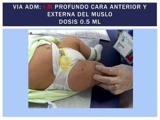VIA ADM: I.M PROFUNDO CARA ANTERIOR Y
EXTERNA DEL MUSLO
DOSIS 0.5 ML
 