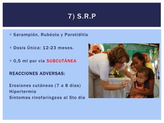  Sarampión, Rubéola y Parotiditis
 Dosis Única: 12-23 meses.
 0,5 ml por vía SUBCUTÁNEA
REACCIONES ADVERSAS:
Erosiones cutáneas (7 a 8 días)
Hipertermia
Síntomas rinofaríngeos al 5to día
7) S.R.P
 