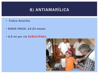  Fiebre Amarilla
 DOSIS ÚNICA: 12-23 meses
 0,5 ml por vía SUBCUTÁNEA
8) ANTIAMARÍLICA
 