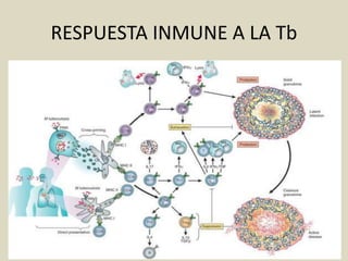 RESPUESTA INMUNE A LA Tb
 