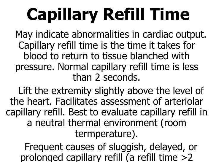 brisk capillary refill brisk capillary refill