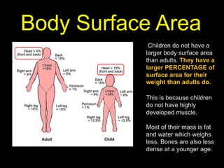 Body Surface Area
Children do not have a
larger body surface area
than adults. They have a
larger PERCENTAGE of
surface area for their
weight than adults do.
This is because children
do not have highly
developed muscle.
Most of their mass is fat
and water which weighs
less. Bones are also less
dense at a younger age.
 