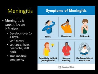 Meningitis
• Meningitis is
caused by an
infection
• Develops over 1-
4 days,
contagious
• Lethargy, fever,
headache, stiff
neck
• True medical
emergency
 