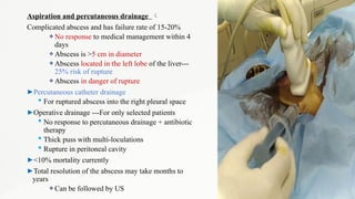 Comprehensive Overview of Pediatric Liver Abscess: Diagnosis, Treatment ...