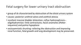 Fetal surgery for lower urinary tract obstruction
• group of ds characterized by obstruction of the distal urinary system
• causes: posterior urethral valves and urethral atresia
• resultant massive bladder distention--reflux hydronephrosis--
oligohydramnios--limb contractures, facial anomalies (Potter
sequence) and pulmo hypoplasia
• vesicoamniotic shunting--relieving the obstruction and improving
renal function, fetal growth and lung development may be preserved.
 