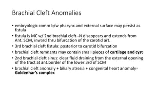 Brachial Cleft Anomalies
• embryologic comm b/w pharynx and external surface may persist as
fistula
• fistula is MC w/ 2nd brachial cleft--N disappears and extends from
Ant. SCM, inward thru bifurcation of the carotid art.
• 3rd brachial cleft fistula: posterior to carotid bifurcation
• brachial cleft remnants may contain small pieces of cartilage and cyst
• 2nd brachial cleft sinus: clear fluid draining from the external opening
of the tract at ant.border of the lower 3rd of SCM
• brachial cleft anomaly + biliary atresia + congenital heart anomaly=
Goldenhar’s complex
 