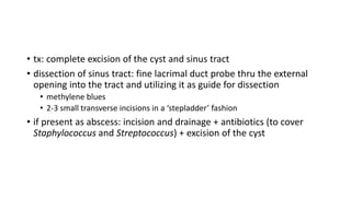 • tx: complete excision of the cyst and sinus tract
• dissection of sinus tract: fine lacrimal duct probe thru the external
opening into the tract and utilizing it as guide for dissection
• methylene blues
• 2-3 small transverse incisions in a ‘stepladder’ fashion
• if present as abscess: incision and drainage + antibiotics (to cover
Staphylococcus and Streptococcus) + excision of the cyst
 