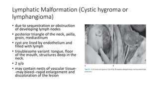 Lymphatic Malformation (Cystic hygroma or
lymphangioma)
• due to sequestration or obstruction
of developing lymph nodes
• posterior triangle of the neck, axilla,
groin, mediastinum
• cyst are lined by endothelium and
filled with lymph
• troublesome variant: tongue, floor
of the mouth, structures deep in the
neck.
• 2 y/o
• may contain nests of vascular tissue-
-may bleed--rapid enlargement and
discoloration of the lesion
 