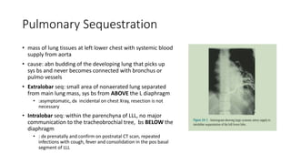 Pulmonary Sequestration
• mass of lung tissues at left lower chest with systemic blood
supply from aorta
• cause: abn budding of the developing lung that picks up
sys bs and never becomes connected with bronchus or
pulmo vessels
• Extralobar seq: small area of nonaerated lung separated
from main lung mass, sys bs from ABOVE the L diaphragm
• :asymptomatic, dx incidental on chest Xray, resection is not
necessary
• Intralobar seq: within the parenchyna of LLL, no major
communication to the tracheobrochial tree, bs BELOW the
diaphragm
• : dx prenatally and confirm on postnatal CT scan, repeated
infections with cough, fever and consolidation in the pos basal
segment of LLL
 