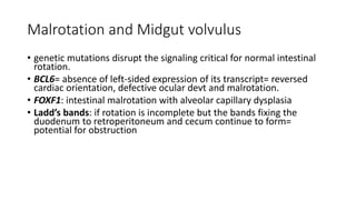 Malrotation and Midgut volvulus
• genetic mutations disrupt the signaling critical for normal intestinal
rotation.
• BCL6= absence of left-sided expression of its transcript= reversed
cardiac orientation, defective ocular devt and malrotation.
• FOXF1: intestinal malrotation with alveolar capillary dysplasia
• Ladd’s bands: if rotation is incomplete but the bands fixing the
duodenum to retroperitoneum and cecum continue to form=
potential for obstruction
 