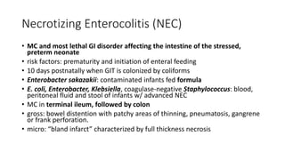 Necrotizing Enterocolitis (NEC)
• MC and most lethal GI disorder affecting the intestine of the stressed,
preterm neonate
• risk factors: prematurity and initiation of enteral feeding
• 10 days postnatally when GIT is colonized by coliforms
• Enterobacter sakazakii: contaminated infants fed formula
• E. coli, Enterobacter, Klebsiella, coagulase-negative Staphylococcus: blood,
peritoneal fluid and stool of infants w/ advanced NEC
• MC in terminal ileum, followed by colon
• gross: bowel distention with patchy areas of thinning, pneumatosis, gangrene
or frank perforation.
• micro: “bland infarct” characterized by full thickness necrosis
 