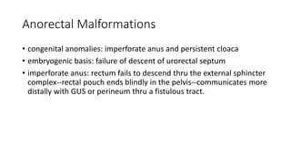 Anorectal Malformations
• congenital anomalies: imperforate anus and persistent cloaca
• embryogenic basis: failure of descent of urorectal septum
• imperforate anus: rectum fails to descend thru the external sphincter
complex--rectal pouch ends blindly in the pelvis--communicates more
distally with GUS or perineum thru a fistulous tract.
 