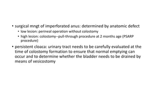 • surgical mngt of imperforated anus: determined by anatomic defect
• low lesion: perineal operation without colostomy
• high lesion: colostomy--pull-through procedure at 2 months age (PSARP
procedure)
• persistent cloaca: urinary tract needs to be carefully evaluated at the
time of colostomy formation to ensure that normal emptying can
occur and to determine whether the bladder needs to be drained by
means of vesicostomy
 
