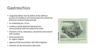 Gastroschisis
• congenital defect char by defect of the AAW (at
junction of umbilicus and normal skin) thru which the
intestinal contents freely protude
• no underlying sac, <4 cm
• umbilicus partly detached allowing free
communication with the abdominal cavity
• intestine is thick, edematous, discolored and covered
with exudate.
• dx by prenatal US
tx: urgent surgical
• vigorous fluid resuscitation 160-190 cc/kg/day
• intestine can be returned to abd cavity
 