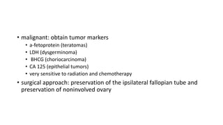 • malignant: obtain tumor markers
• a-fetoprotein (teratomas)
• LDH (dysgerminoma)
• BHCG (choriocarcinoma)
• CA 125 (epithelial tumors)
• very sensitive to radiation and chemotherapy
• surgical approach: preservation of the ipsilateral fallopian tube and
preservation of noninvolved ovary
 