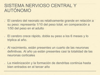 SISTEMA NERVIOSO CENTRAL Y
AUTÓNOMO
El cerebro del neonato es relativamente grande en relación a
su peso: representa 1/10 del peso total, en comparación a
1/50 del peso en el adulto
El cerebro crece rápido, dobla su peso a los 6 meses y lo
triplica al año.
Al nacimiento, están presentes un cuarto de las neuronas
definitivas. Al año ya están presentes casi la totalidad de las
neuronas corticales
La mielinización y la formación de dendritas continúa hasta
bien entrados en el tercer año
 