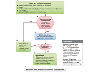 CPR2015 update: PALS | PDF