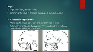 Larynx
 High, anteriorly placed larynx
 C2 in infants, C3/4 in children compared to adult (c4-c5)
 Anaesthetic Implications-
 More acute angle between oral and laryngeal axes
 Difficult in nasal intubation where ETT can dislodge in anterior
commissure rather than trachea
 