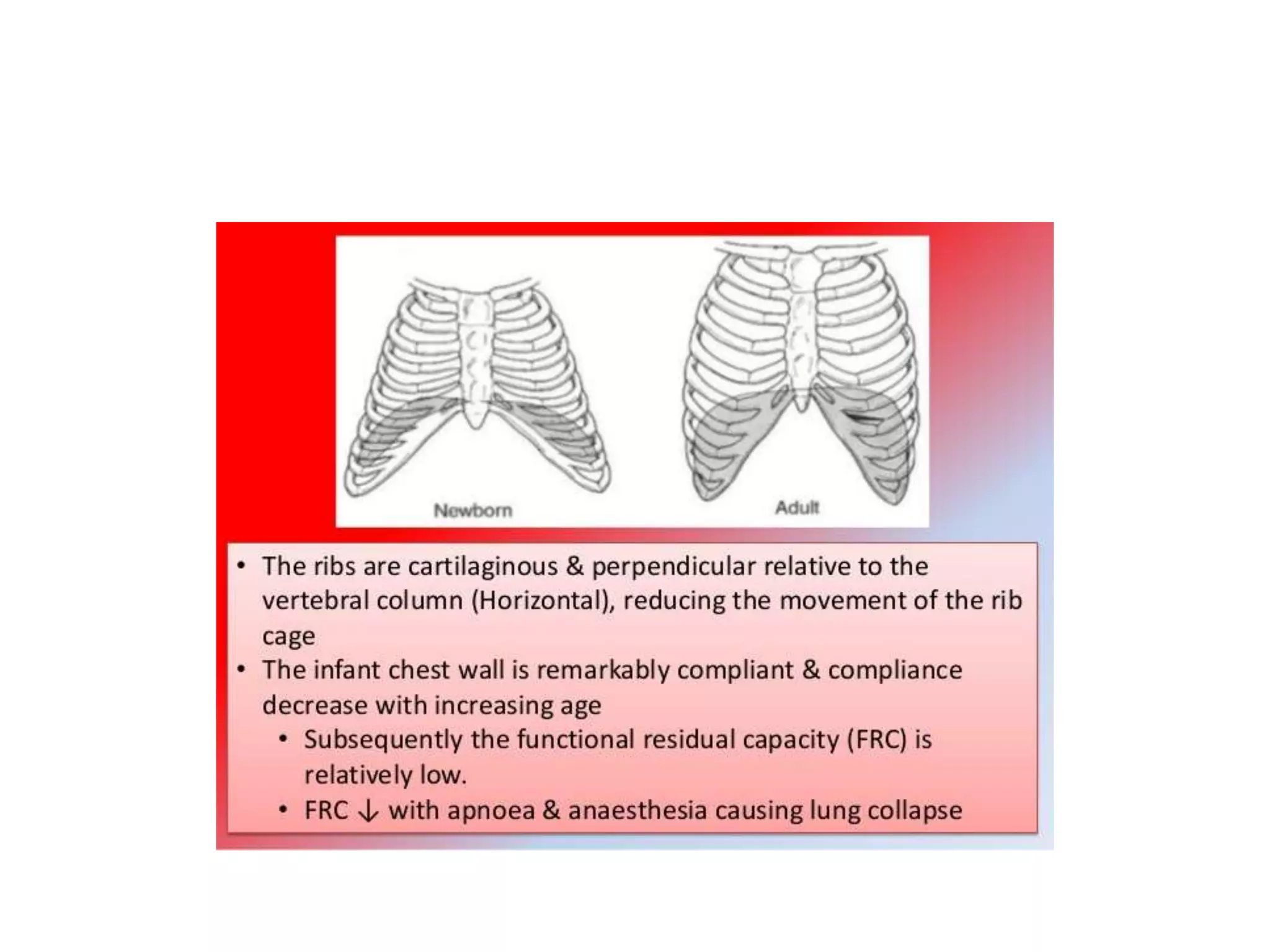 Pediatric anatomy and pharmacology | PPTX