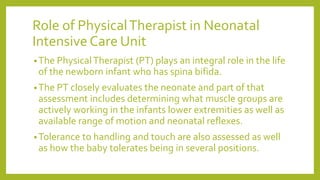 Role of PhysicalTherapist in Neonatal
Intensive Care Unit
•The PhysicalTherapist (PT) plays an integral role in the life
of the newborn infant who has spina bifida.
•The PT closely evaluates the neonate and part of that
assessment includes determining what muscle groups are
actively working in the infants lower extremities as well as
available range of motion and neonatal reflexes.
•Tolerance to handling and touch are also assessed as well
as how the baby tolerates being in several positions.
 